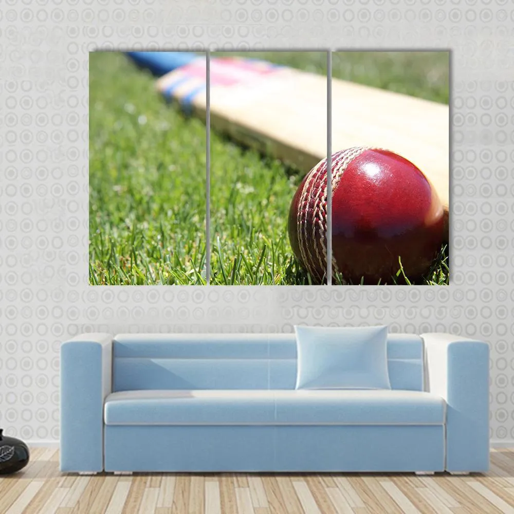 Ball & Bat On Grass Canvas Wall Art