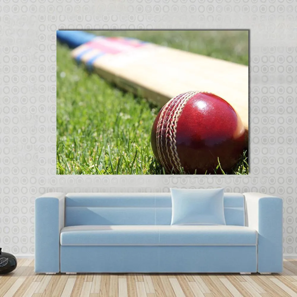 Ball & Bat On Grass Canvas Wall Art