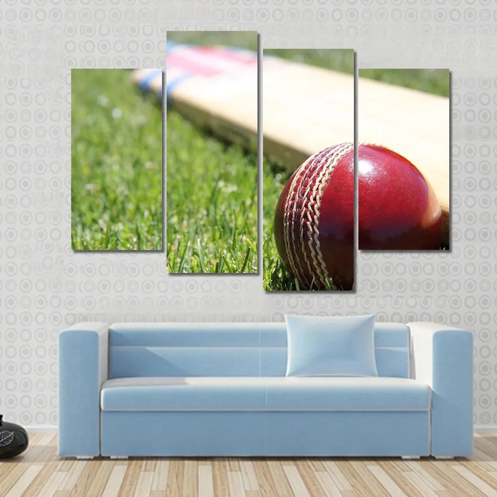 Ball & Bat On Grass Canvas Wall Art