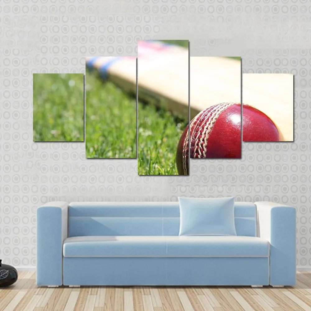 Ball & Bat On Grass Canvas Wall Art