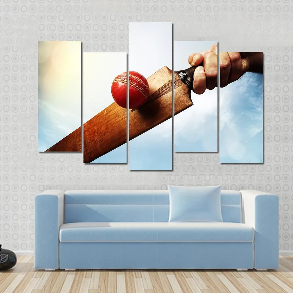 Batsman Hitting A Ball Canvas Wall Art