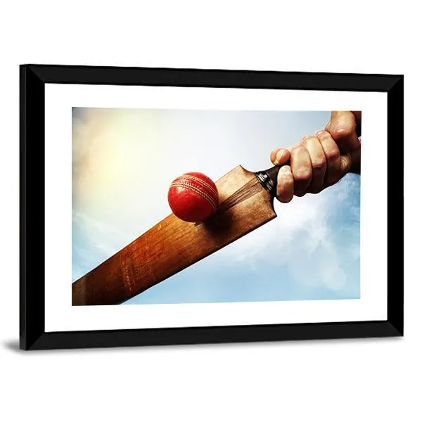 Batsman Hitting A Ball Canvas Wall Art