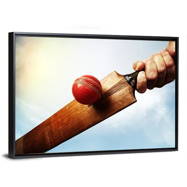 Batsman Hitting A Ball Canvas Wall Art