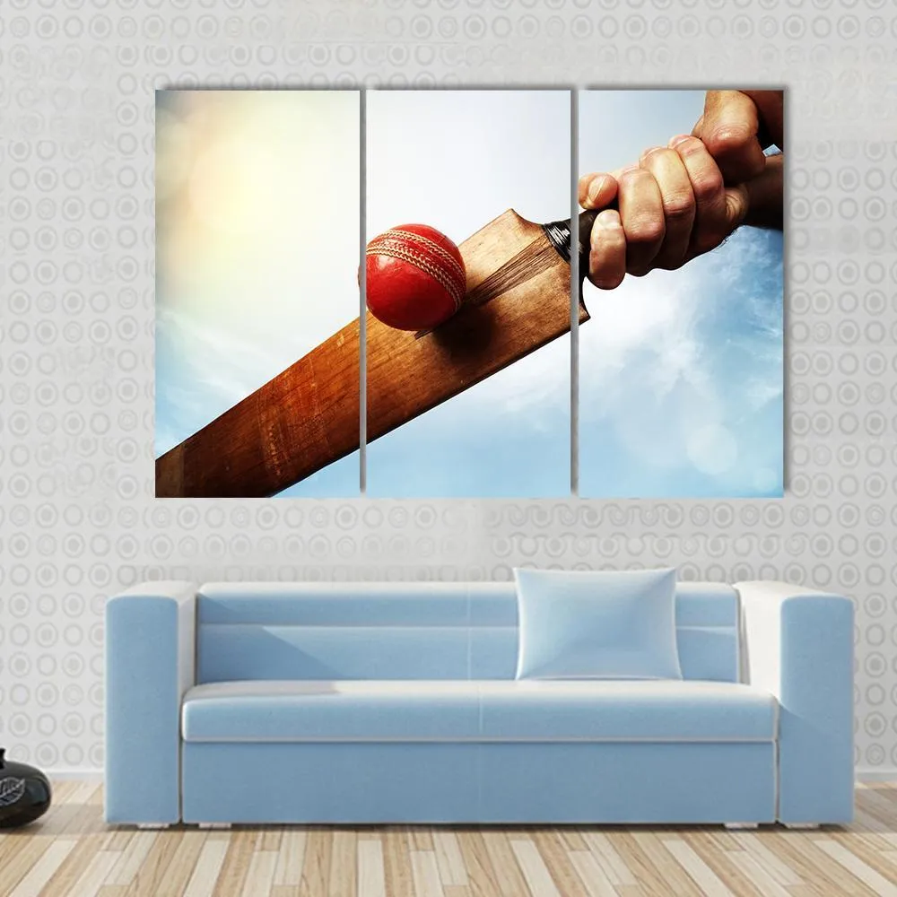 Batsman Hitting A Ball Canvas Wall Art