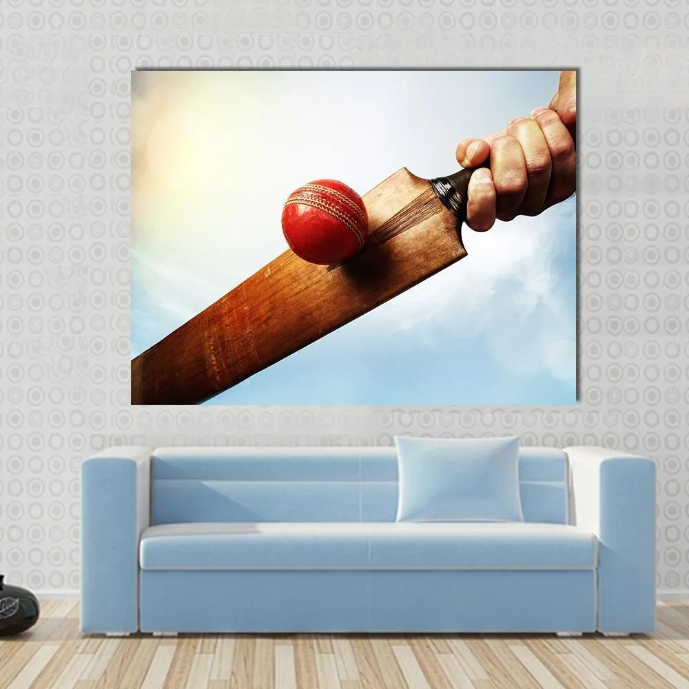 Batsman Hitting A Ball Canvas Wall Art