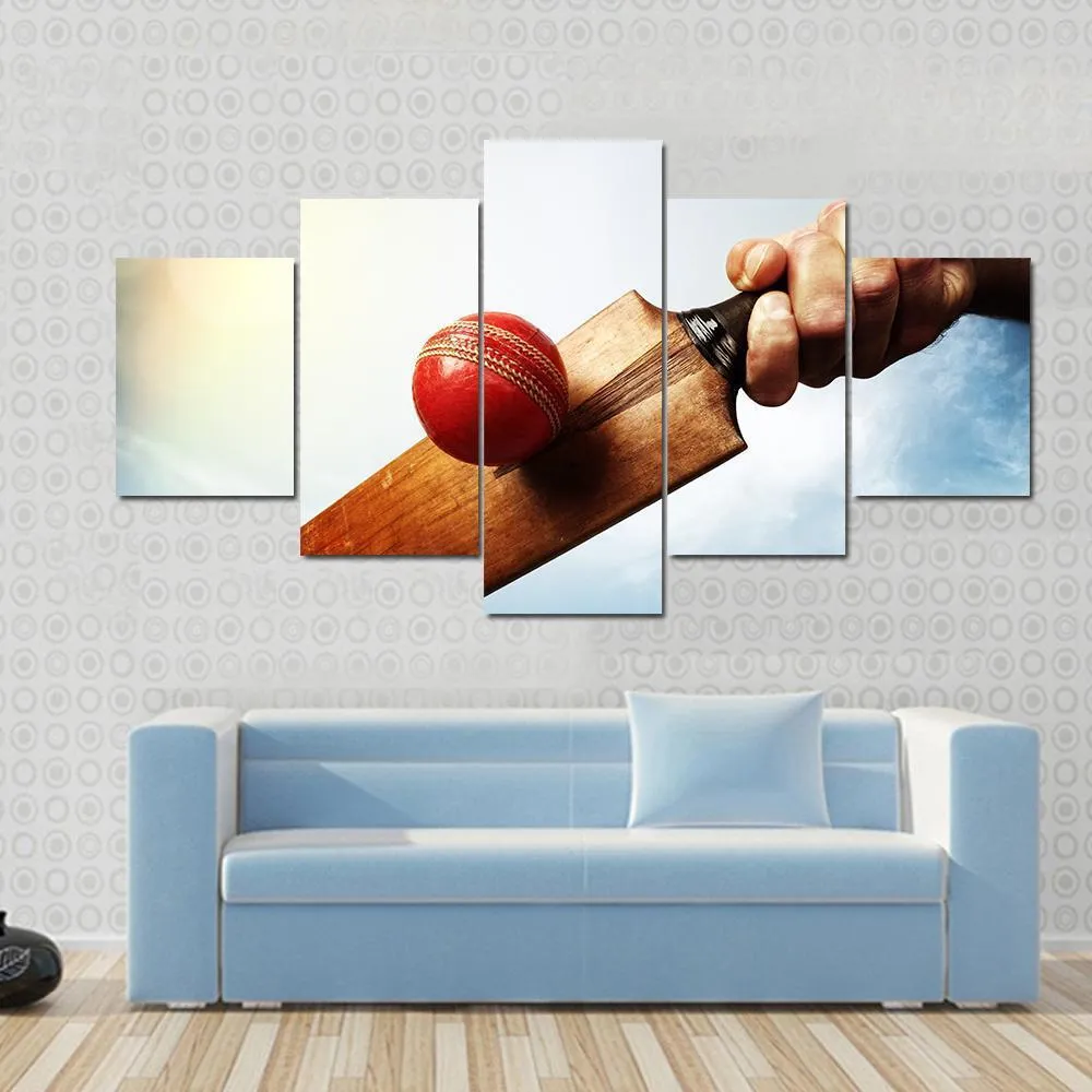 Batsman Hitting A Ball Canvas Wall Art