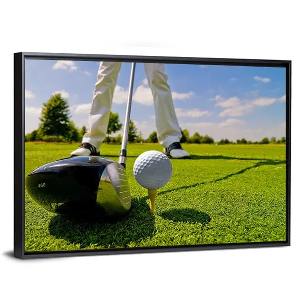 Beautiful Golf Player Canvas Wall Art