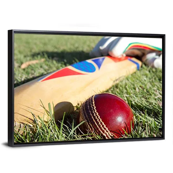 Cricket Ball  Bat & Gloves Canvas Wall Art