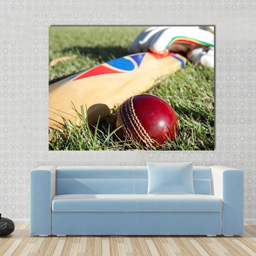 Cricket Ball  Bat & Gloves Canvas Wall Art