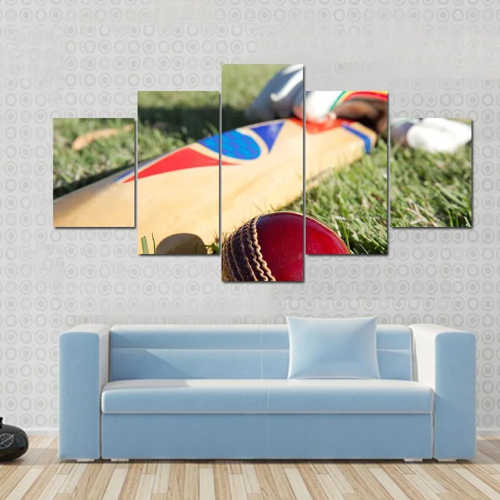 Cricket Ball  Bat & Gloves Canvas Wall Art