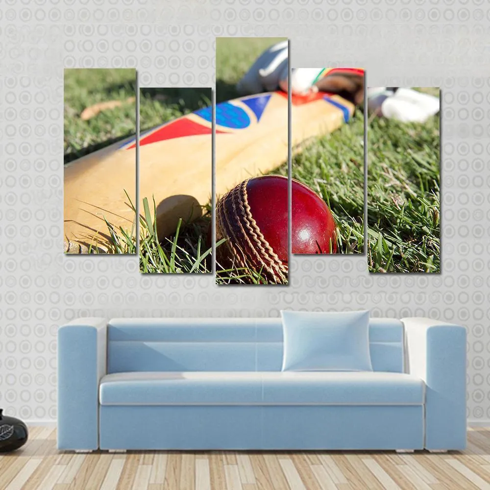 Cricket Ball  Bat & Gloves Canvas Wall Art