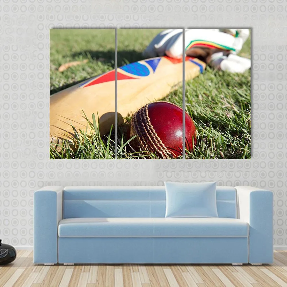 Cricket Ball  Bat & Gloves Canvas Wall Art