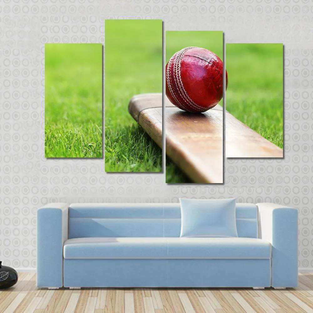 Cricket Ball On Bat Canvas Wall Art