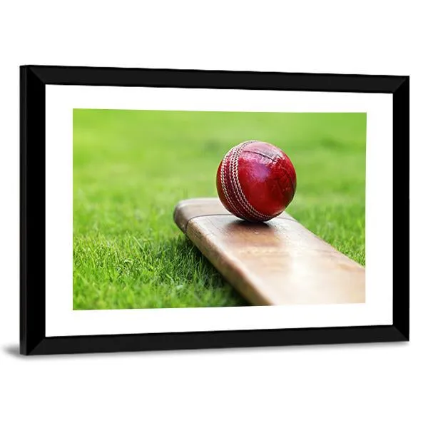 Cricket Ball On Bat Canvas Wall Art