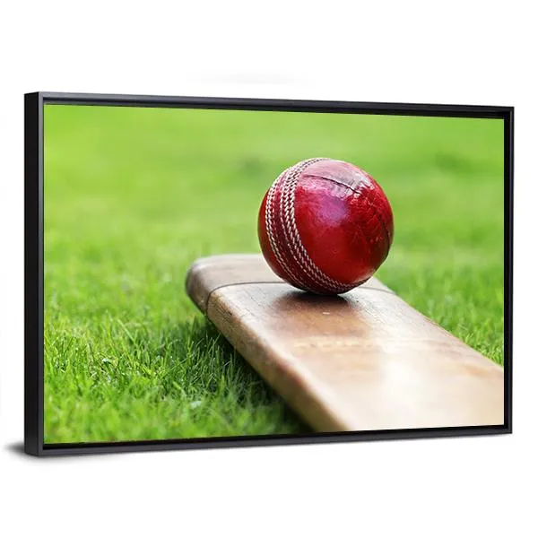 Cricket Ball On Bat Canvas Wall Art