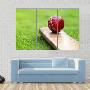 Cricket Ball On Bat Canvas Wall Art