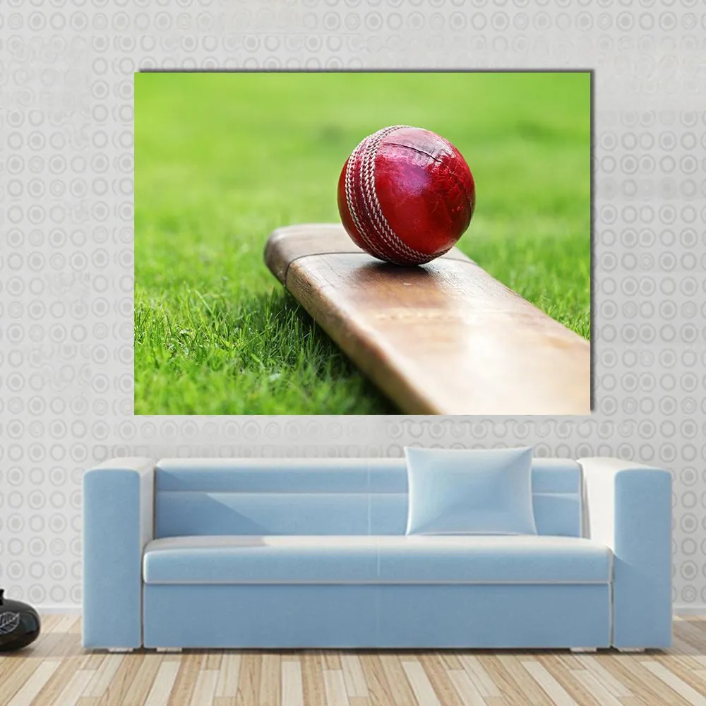 Cricket Ball On Bat Canvas Wall Art