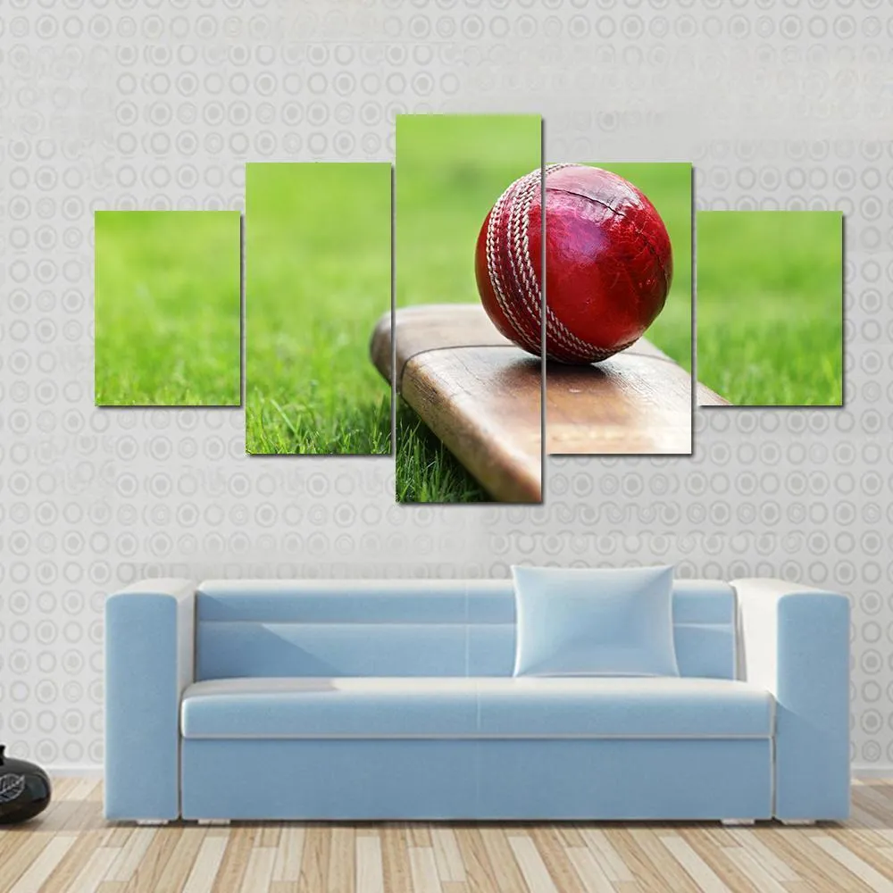 Cricket Ball On Bat Canvas Wall Art