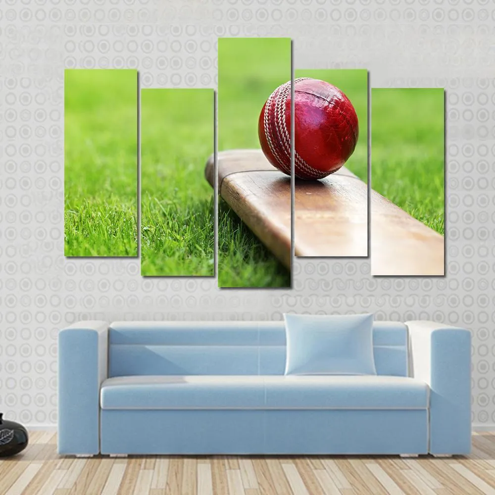 Cricket Ball On Bat Canvas Wall Art