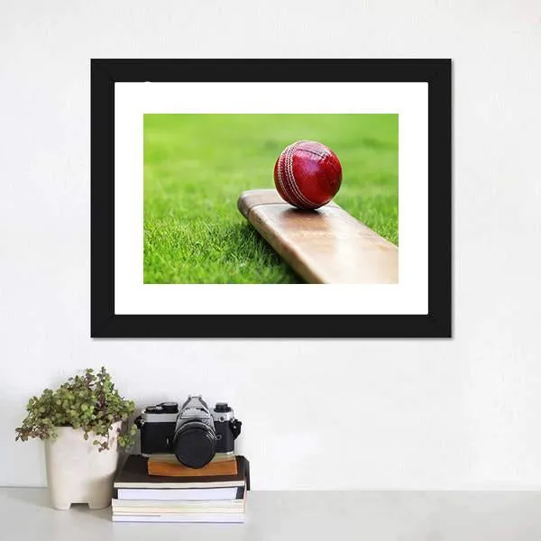 Cricket Ball On Bat Canvas Wall Art