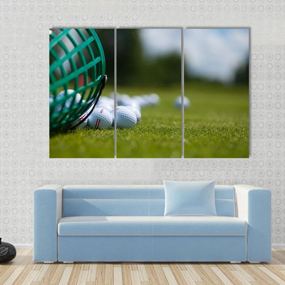 Golf Ball Basket Canvas Wall Art