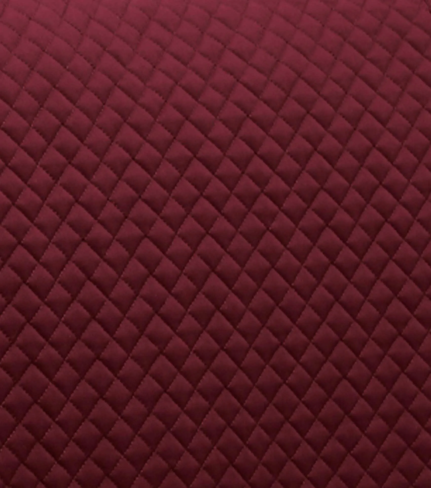 Pony Plain Cotton GP/Jump Square Burgundy