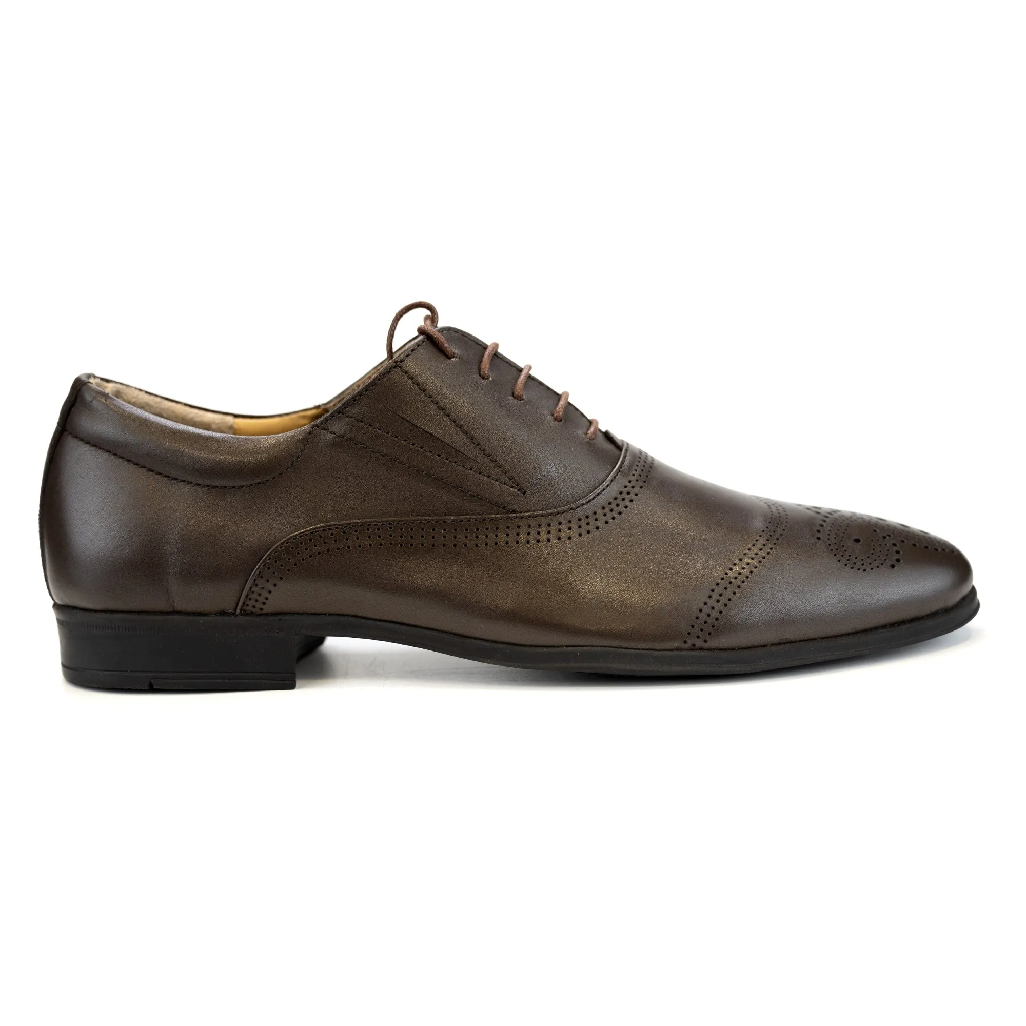 Wingtip Patterned Oxfords